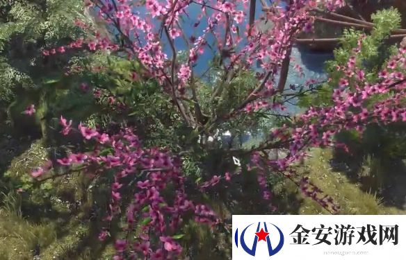 逆水寒手游童稚垂鬓奇遇攻略