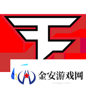征战11年