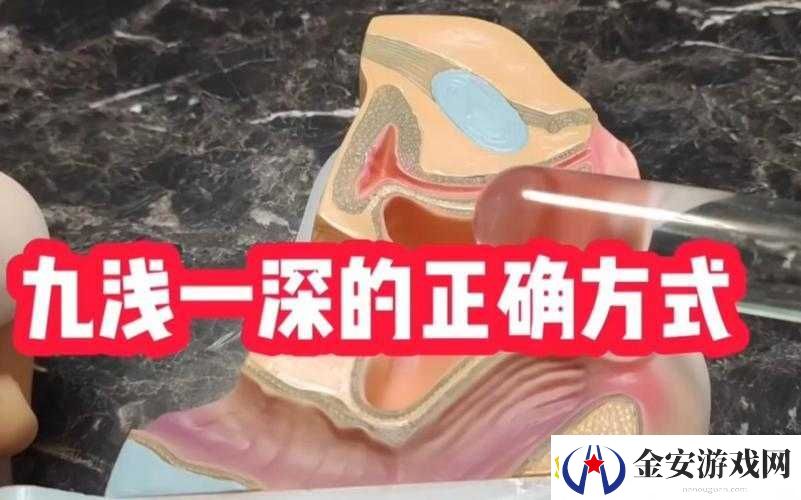 九浅一深与左三右三如何搭配的实用指南