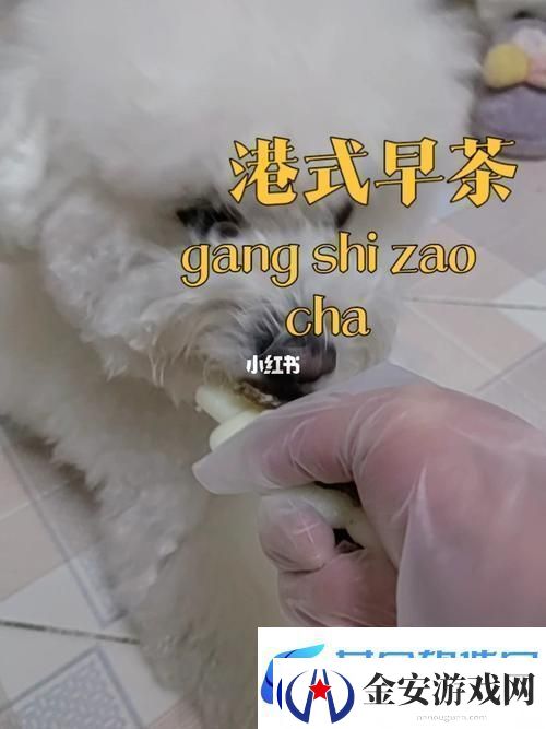 详尽解析美国人与动物胶配方大全