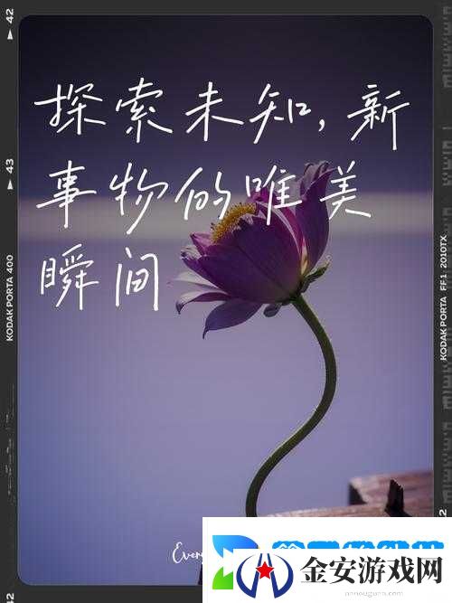 成免费