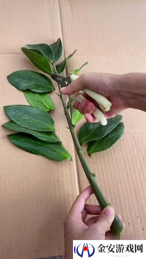女性坐着扦插BB有哪些具体好处友