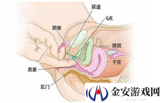 舒适的旅途