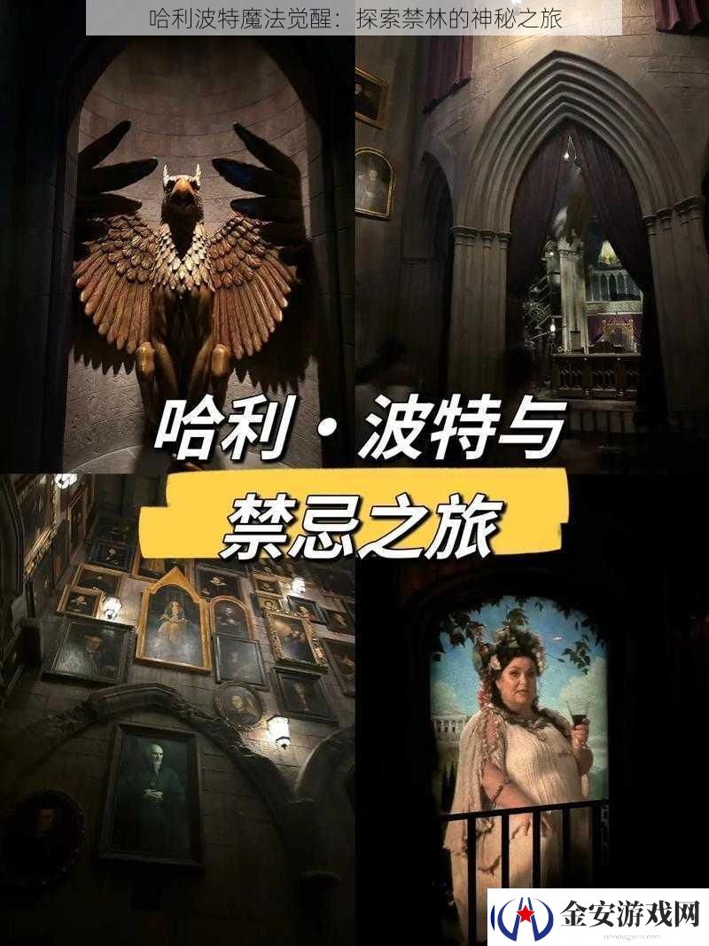 哈利波特魔法觉醒