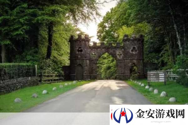 冰原守卫者