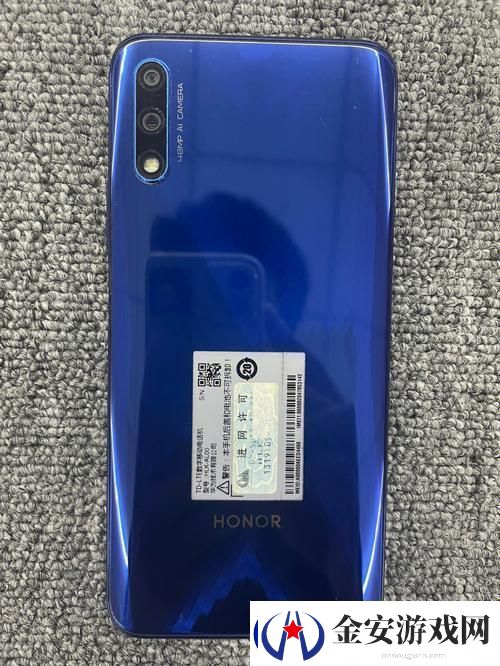 内容丰富X9X9X9搡BBBB搡BBB探索独特的文化现象
