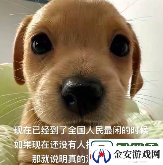 嫂子的产地是义乌