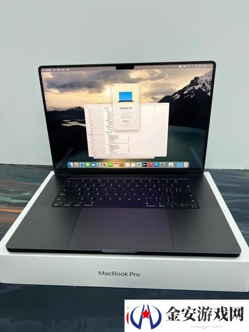 性系MACBOOKPRO高清