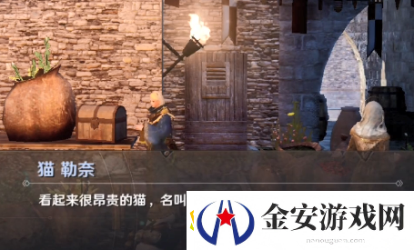 黑色沙漠手游猫勒奈知识怎么获取