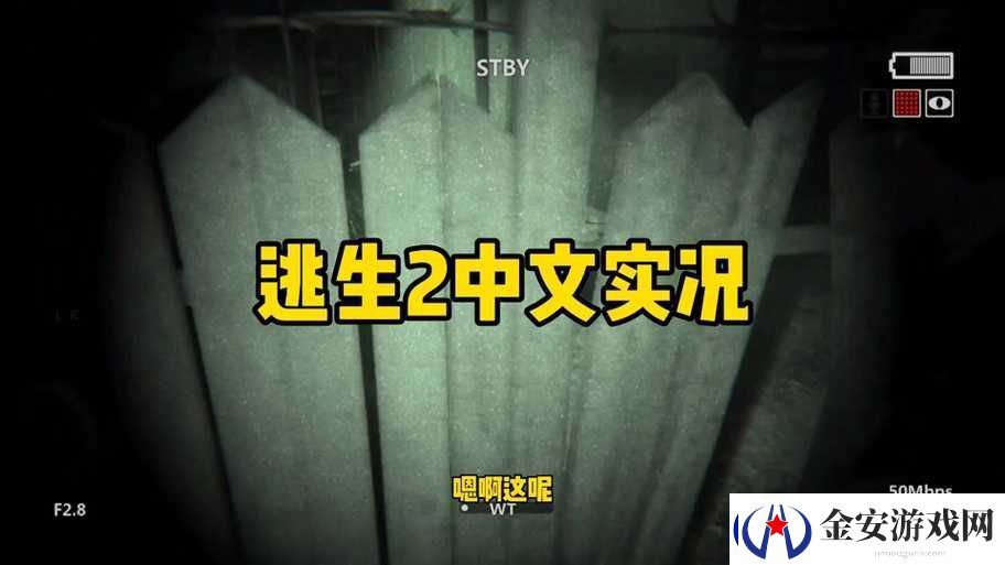 逃生2游戏中文版调整及详细中文设置方法指南