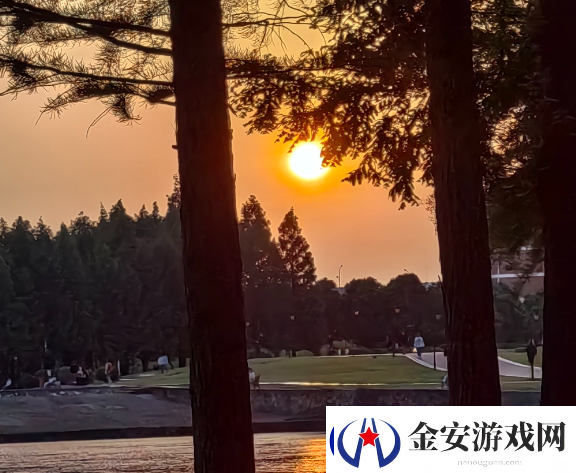落日余晖中文全面指南从入门到精通畅快游戏体验等你来！