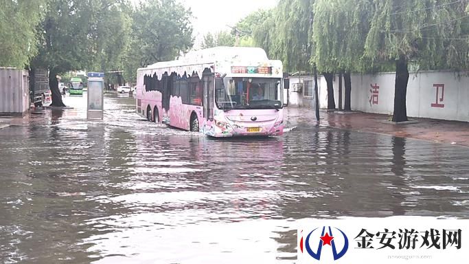 小扫货水怎么那么多公交车