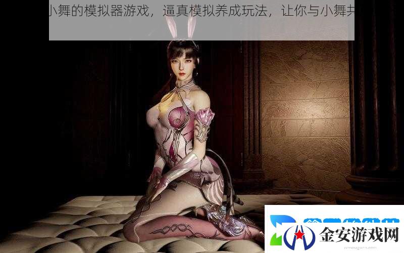 可以插小舞的模拟器游戏