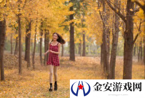 抖抈APP入口免费