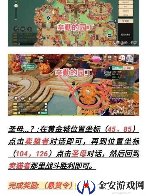梦想新大陆