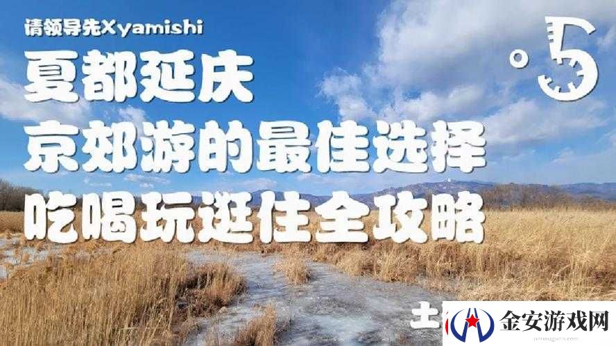 免费黄应用