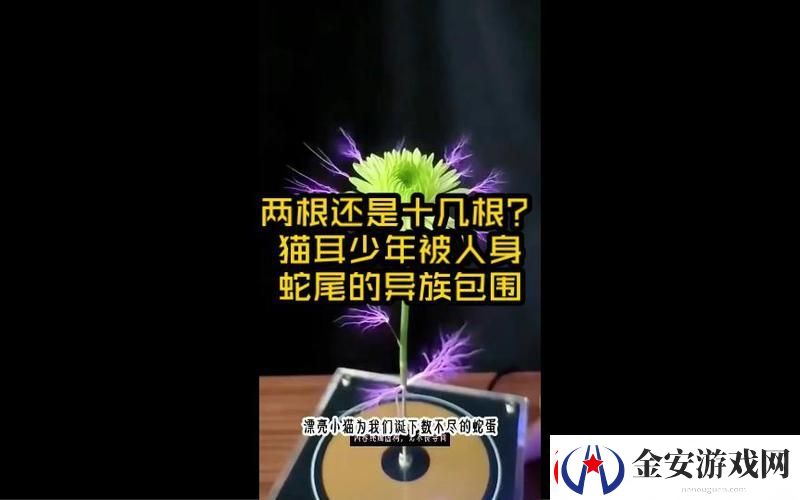 两根还是十几根
