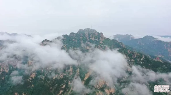 我在雨中等你近日发布了全新单曲引发热议歌迷纷纷表示期待这首歌的情感表达与旋律将打动人心