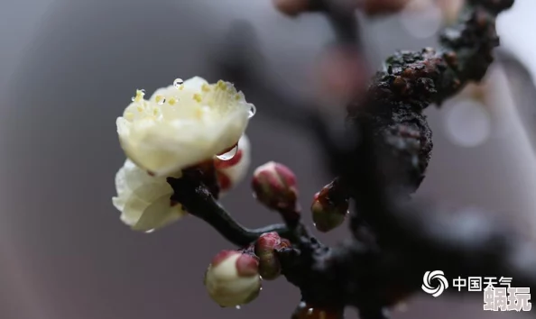 我在雨中等你近日发布了全新单曲引发热议歌迷纷纷表示期待这首歌的情感表达与旋律将打动人心