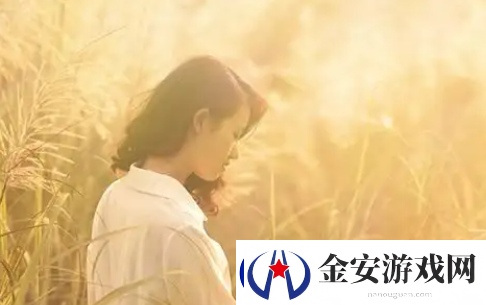 三叶草gw4334
