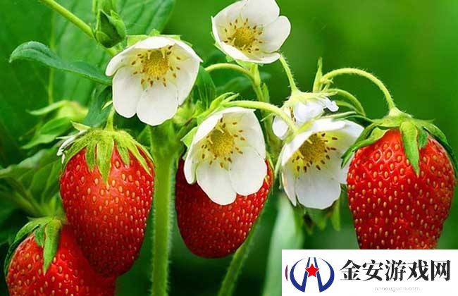 畅享高清视听盛宴