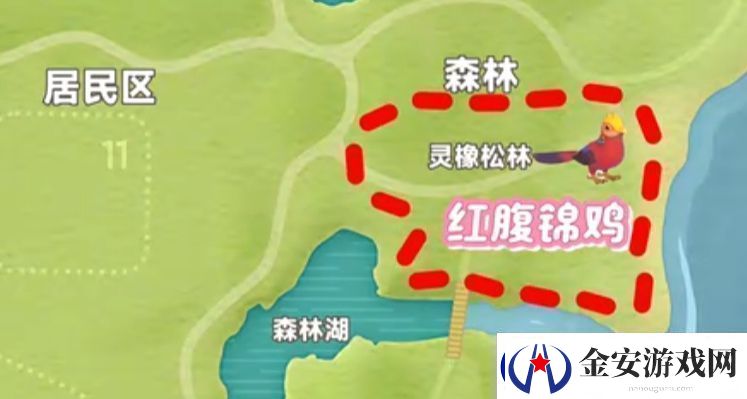 心动小镇新春季第3周4只鸟位置
