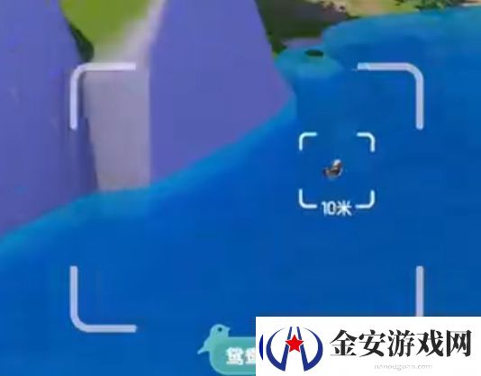 心动小镇新春季第3周4只鸟位置