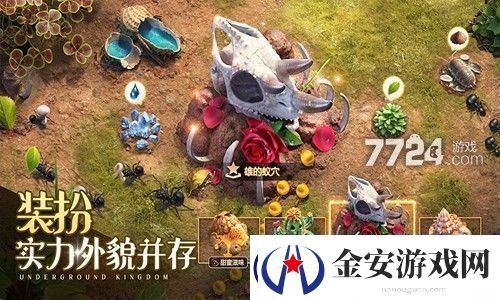 小小蚁国蚁巢土地布局一览