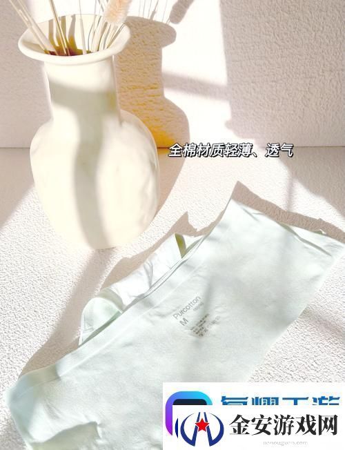 探索时尚与舒适的结合——蜜桃91精品㊙️入口内裤