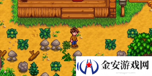 星露谷物语农场哪个好