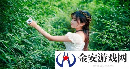 y31成色好的s31正品：品质与成色的完美结合