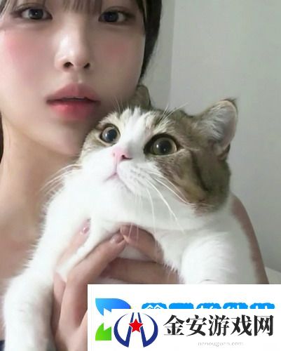 意大利法国空乘4成热议！弹幕狂刷