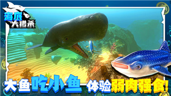 胡桃日记游戏攻略——提升游戏体验的必备技巧与策略