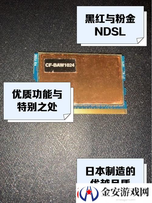 DDR1在线观看免费版