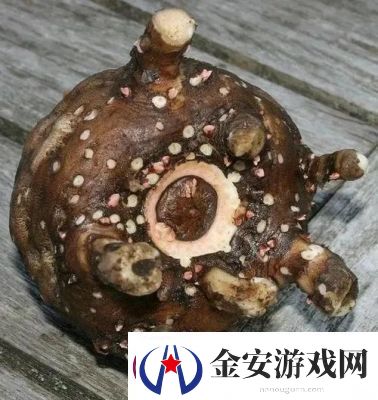揭秘“救救孩子江上H1VL1”