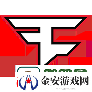 征战11年