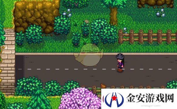 星露谷物语神秘的齐任务怎么做